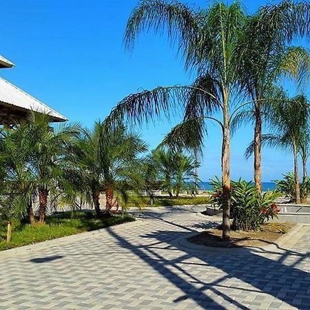 Uw Oasis Hotel La Ceiba Extérieur photo